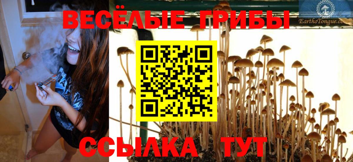 Псилоцибиновые грибы GOLDEN TEACHER  Галлюциногенные грибы Magic Shrooms  Вход с VPN  Электрогорск 